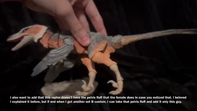 Custom Raptor Review #6 PhP Male Velociraptor