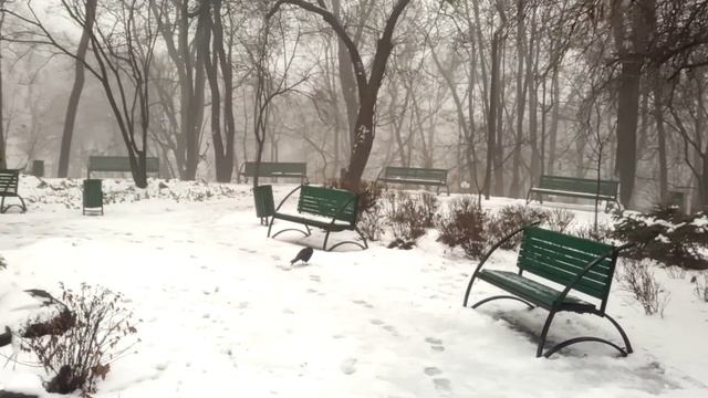 Китайская красота и новый мост в ботсаду