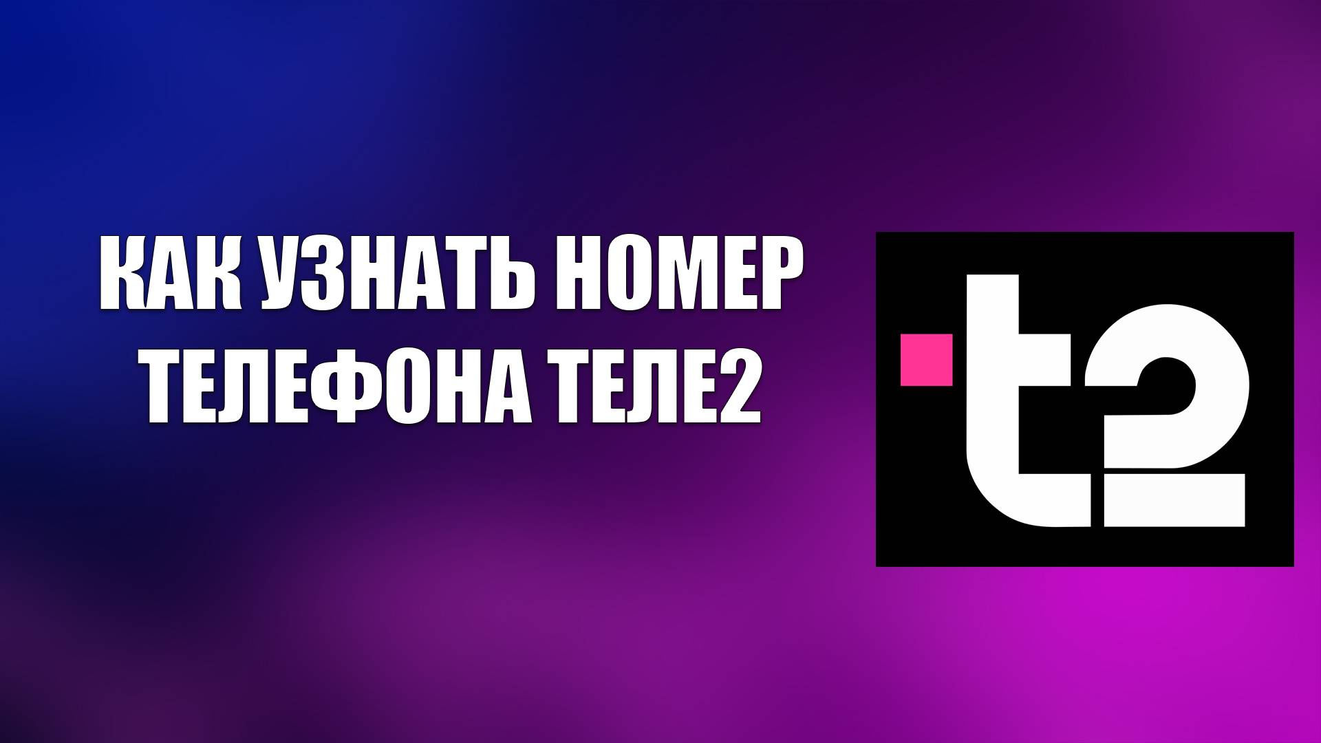 Всезнающий Енот