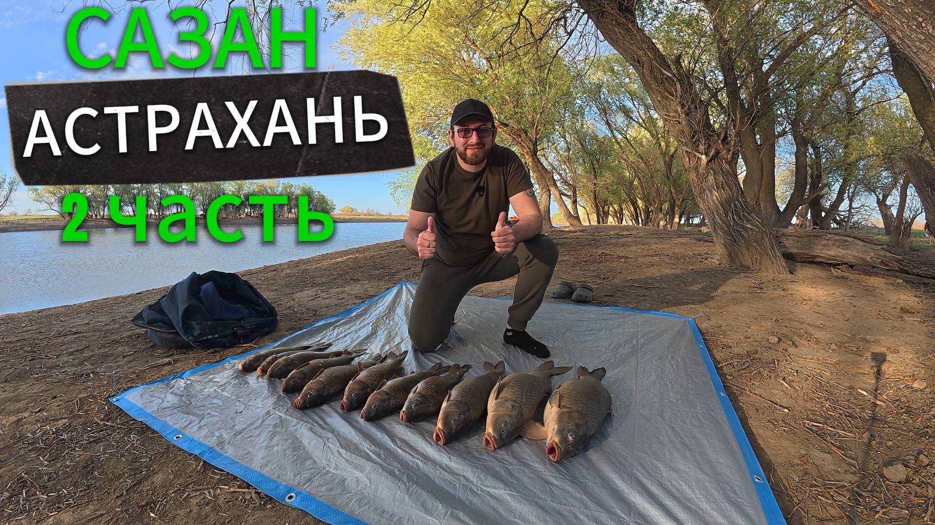 79b36496bfdead44ac2533275b19d4b0