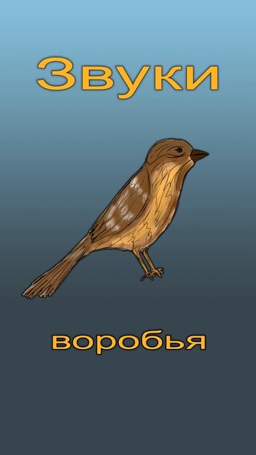 23d585b3efbee397cc23185d16095030