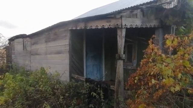 Поездка в д. Баранниково. Место Баранниковского городища