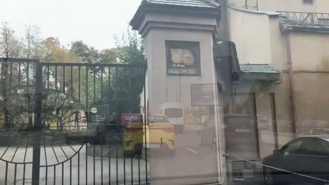 День сурка 13_10_2020