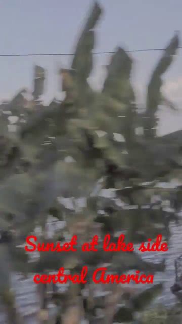 Sunset At Lake Side Itza Lake Flores #centralamerica #latinmusic #music