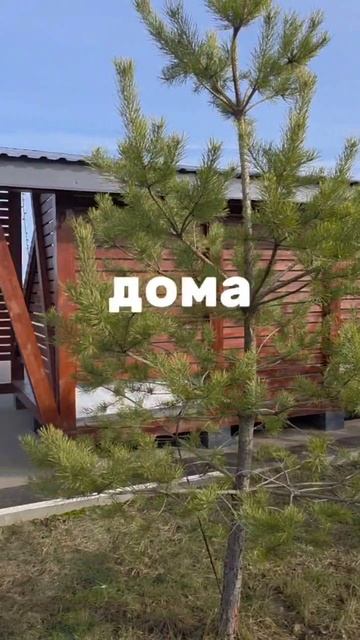 Готовим дома под ключ!