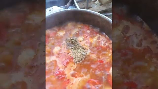 D706797e441120a595b936ae5cfe5a5f