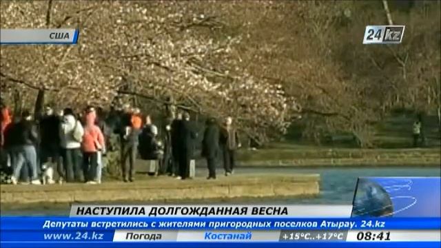 08bb3bbe85a5b34fd39ea8fdef1ce76f