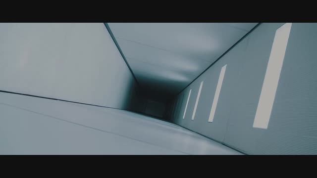 Perception - Equilibrium