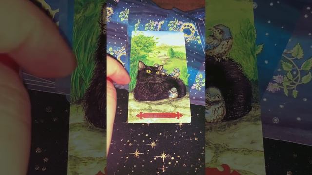 Что он чувствует к вам прямо сейчас? #таро #любовь #отношения