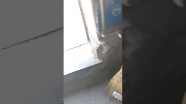 Александр Донецк