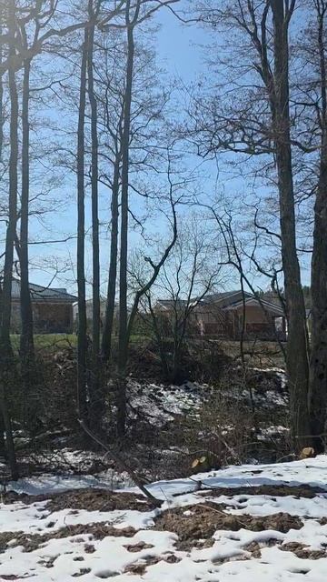 Наши птицы самые музыкальные!