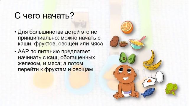 Введение прикорма