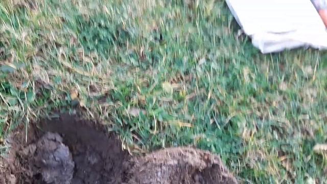 Ed110290c88c1408f9607bd97e005c88