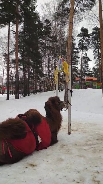 #Ярославль #2023