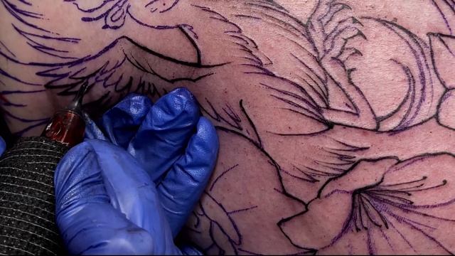Peacock Tattoo Process | Павлин процесс тату