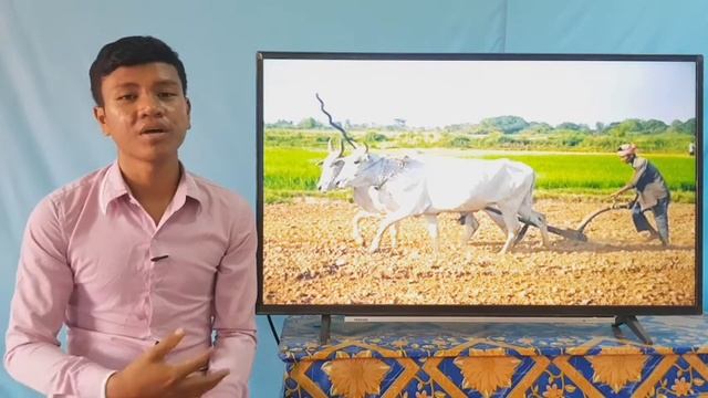 40-1_ថ្នាក់ទី4-ខ្មែរ-ទំព័រ135- 19062020-jospeh