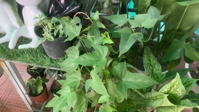 1d473cdf2ac27b37880c99071be4222c