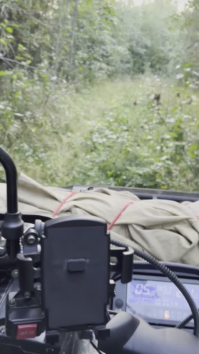 Охота брат охота