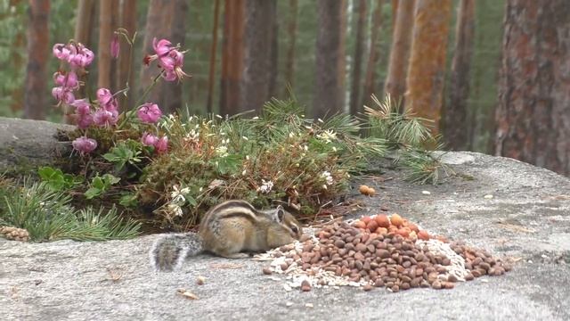 1b886255d45a41775009ccad6d384a82