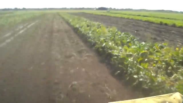 Картофельный комбайн для Т 25