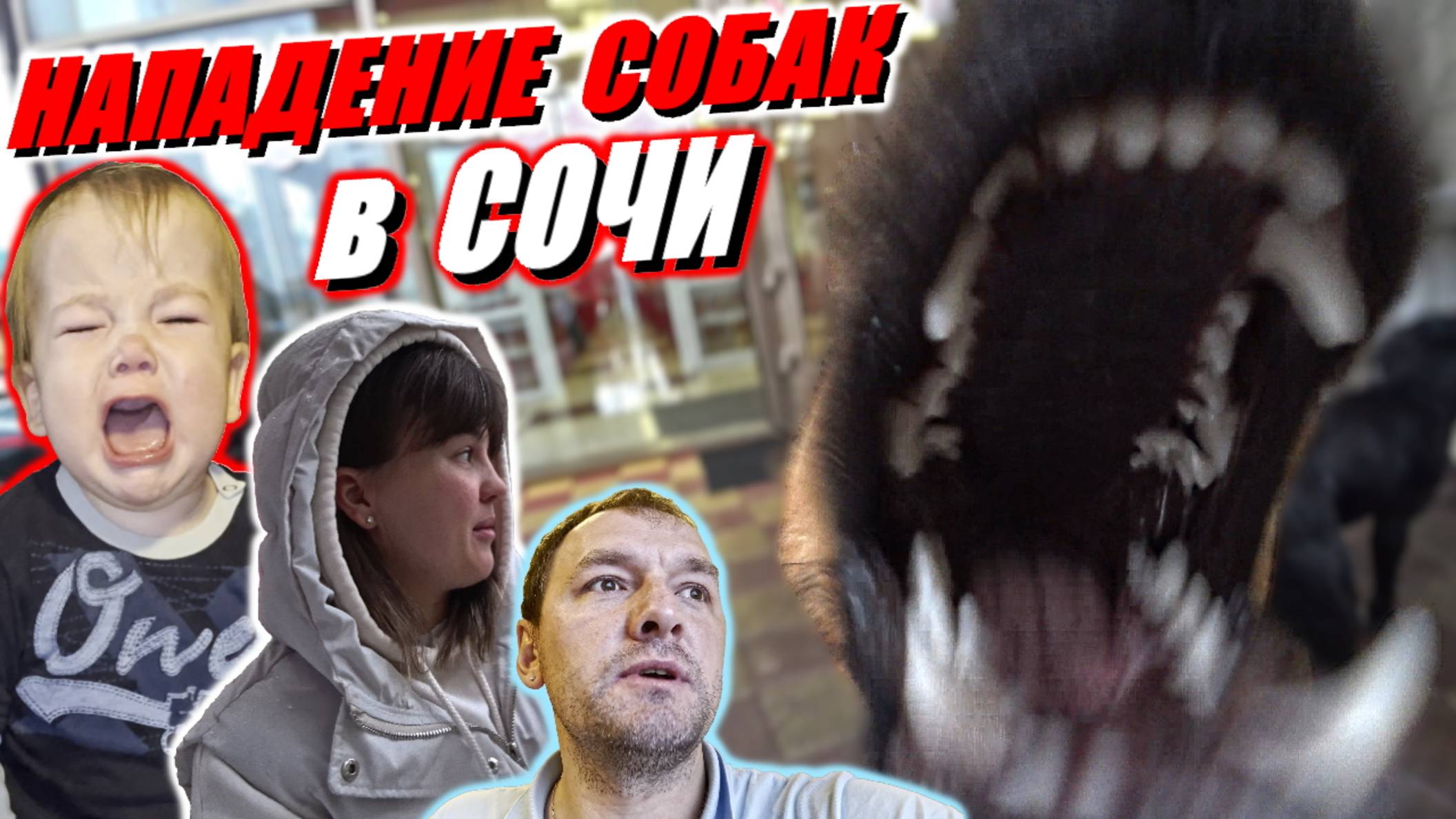 Как нападают агрессивные собаки в Сочи / Самые страшные моменты в Адлере для нашей семьи