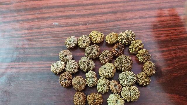 926b12cb4ee869d7fbecc5849247f62f