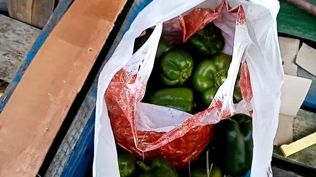 ДЕЛАЮ СТОЖКИ ИЗ ФАРША.УТРЕННИК У МАТВЕЯ В САДИКЕ