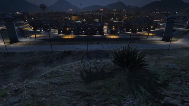 [PS4-HowTo-Peyote] GTA 5 - Grand Senora Desert (Kojote - 15 Von 27)