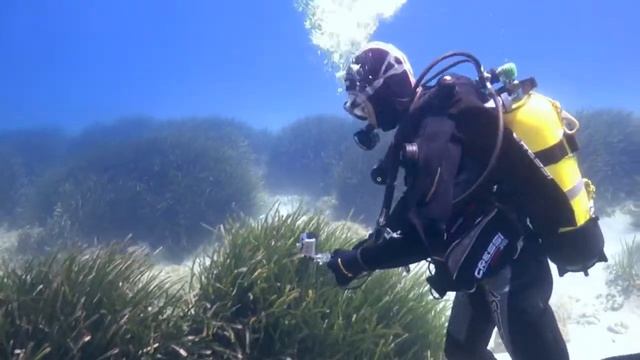 Jacket Back Jac Cressi