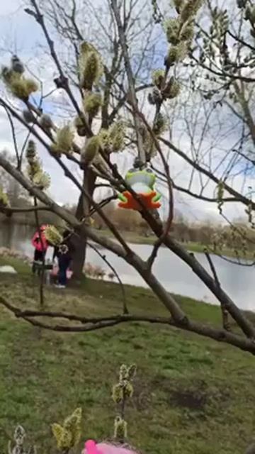 ЭНЧАНТИМАЛС НА ПРИРОДЕ!Мультик ,,Жизнь энчантималс