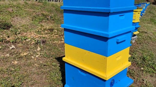 06533c7548df38ba5049bf36efe0ed30