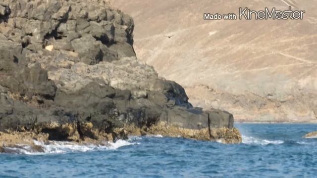 رحله الى خليج عدن