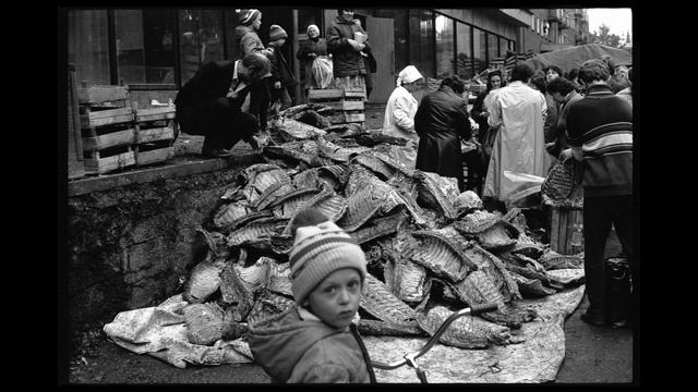 136872afb96f8559b267589acef828c0