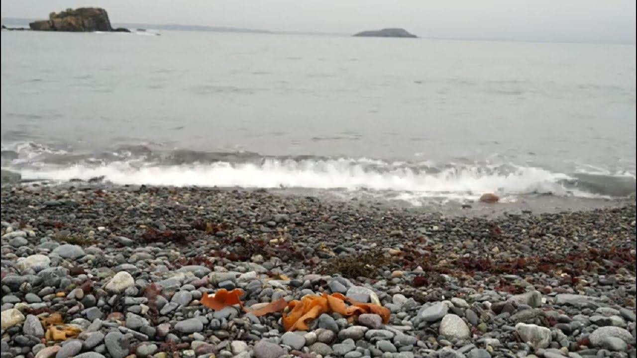 Звуки природы, шум моря,прибой, музыка для сна, релакс. Фоновая музыка без ап.