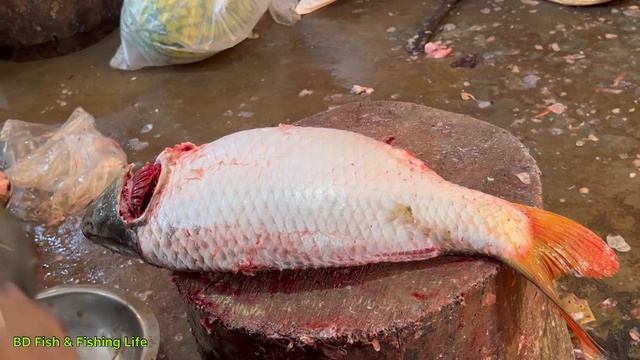 230853b7e5901407d9cf3039a494831f