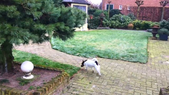 Чемоданное настроение, румтур в отеле W, 50 оттенков ♥ Lucky Lina