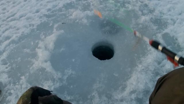 ЩУКА на БАЛАНСИР ЗИМОЙ, НЕЖДАНЧИК