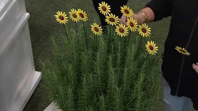 Ultimate Innovations Set Of 12 Yard And Garden Stakes On QVC