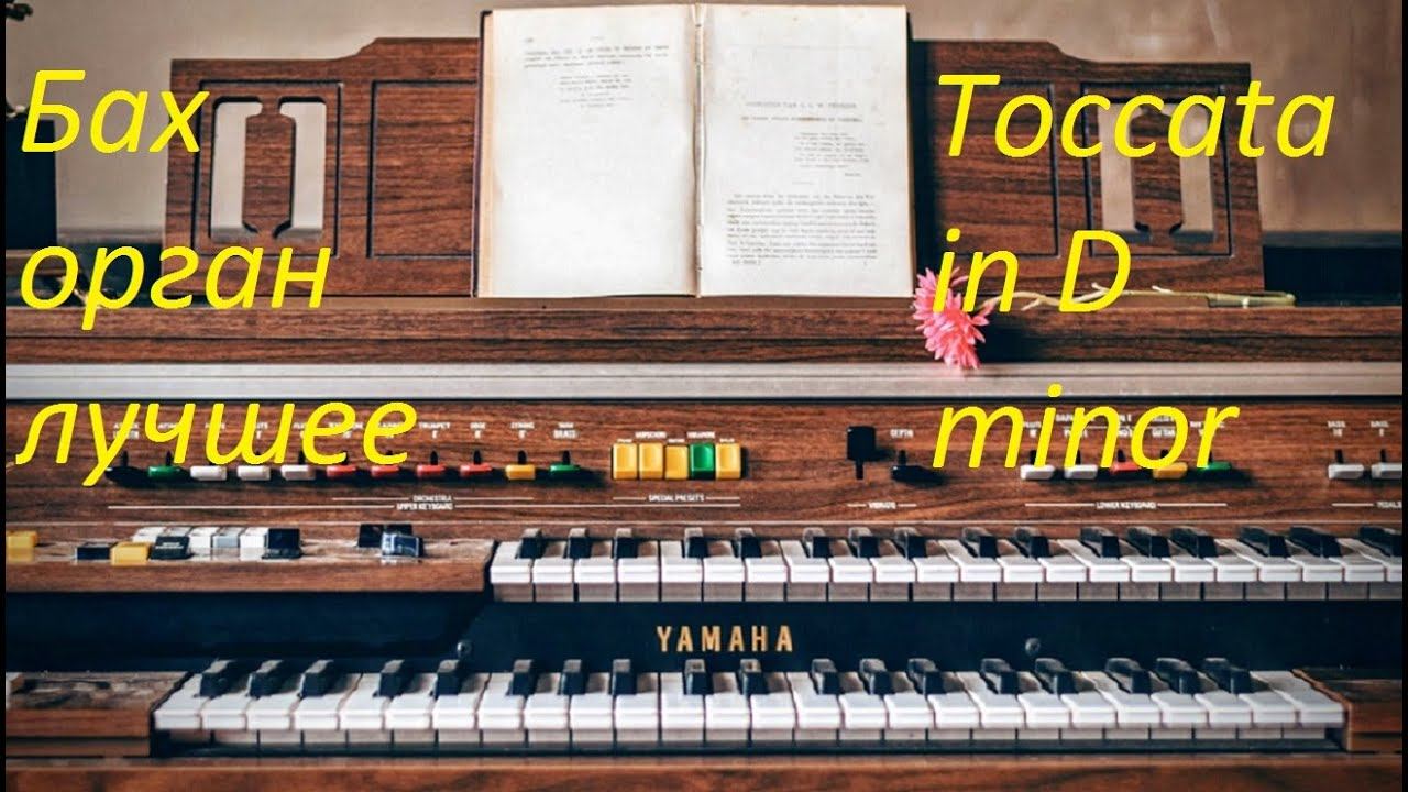 Иоганн Себастьян Бах. Орган. Лучшая классическая музыка.Toccata In D Minor.