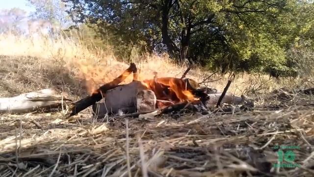 E6654dc9f2ac8c02917a4e8d895f3e06