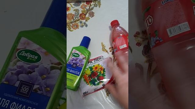 29 января 2023 г.