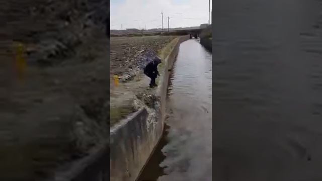 Охота с рогаткой