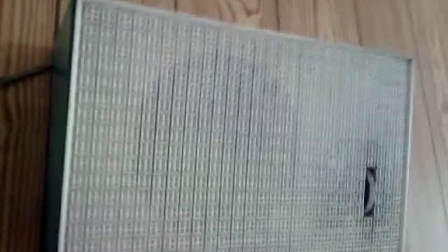 Дачные забавы