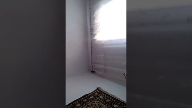 24 августа 2017 г.