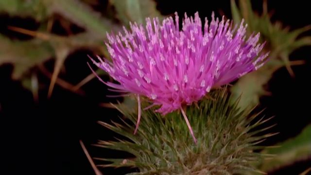 4e6a8e8374ad69d87872931b4b0a8380