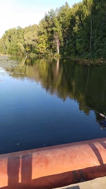 чтобы поймать щуку