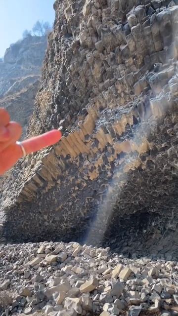 77f1c8d725f1e0ae92b96600543a280c