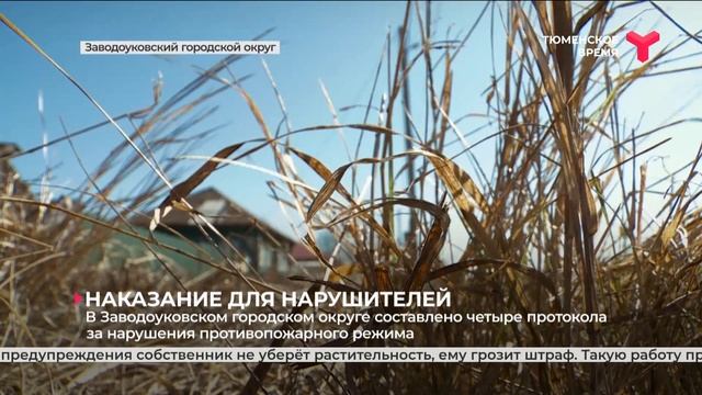 Наказание для нарушителей | Заводоуковский городской округ