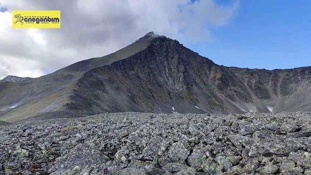 7740e9241b5b47c1b840e2b0bea37946