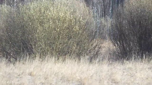 Бывае і так